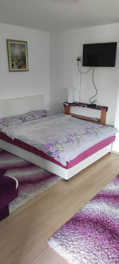 זלאטיבור Apartment Bucic מראה חיצוני תמונה